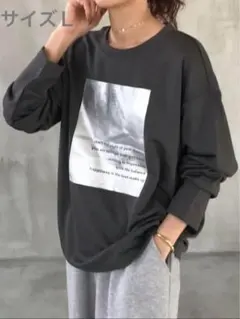 カットソー 長袖 レディース シルバー