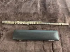 Item thumbnail for item 45caf343-0411-4fc5-bfd8-1c4cfdb51c33