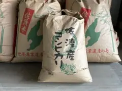 栃木県産 保有米 きぬはなモチ もち米 2025年産 10Kg - メルカリ