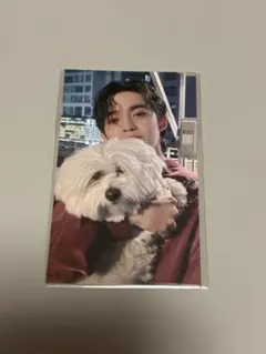 SEVENTEEN FML 東京公演　ユニバ　CD購入特典　エスクプス　トレカ