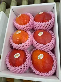 訳品 台湾産愛文マンゴー（アップルマンゴー） 2.5kg/箱 - メルカリ