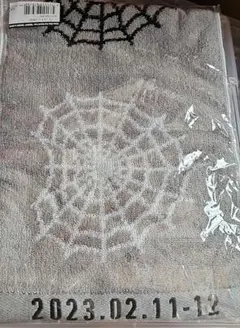 Stray Kids maniac マフラータオル