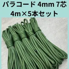 Item thumbnail for item 74c8d8a4-acef-48d0-8b52-f7dc131395b7