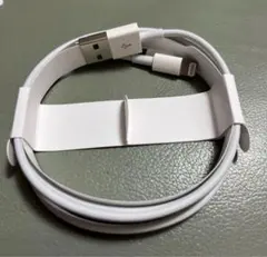 iPad iPhone純正イヤホン付属品　ライトニングケーブル1m