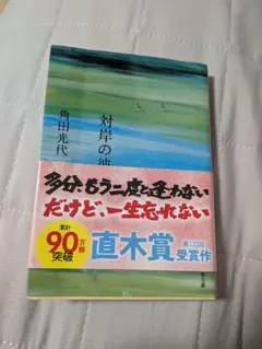 対岸の彼女 角田光代 文春文庫