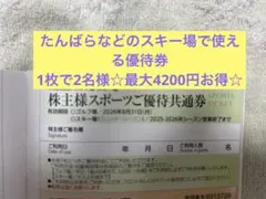たんばらなどで使えるスキー場割引き券株主優待券☆2026年シーズン終了まで☆
