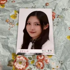 櫻坂46 谷口愛季 封入 生写真 the growing up train ヨリ - メルカリ