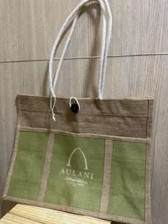 AULANI A Disney Resort & Spa 限定ショッピングバッグのサムネイル