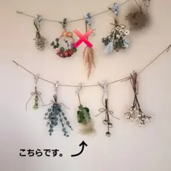 말린 꽃 화환