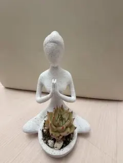 多肉植物寄せ植え ヨガポーズ プランター