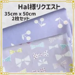 Hal様 リクエスト 2点 まとめ商品