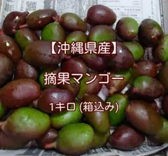 沖縄県産】摘果マンゴー 青マンゴー 1kg (箱込み) - メルカリ