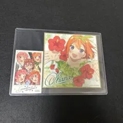 五等分の花嫁　中野四葉　色紙