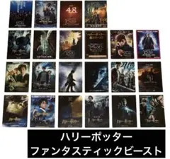 2026年最新】FANTASTICSフライヤーの人気アイテム - メルカリ