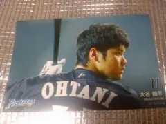 大谷翔平 2015 ハイライトフォト 球団公式写真 日本ハム