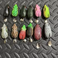 お得セット モカdr F モカsrss モカdrss 神楽 マジキチ エビ20個