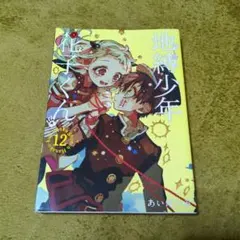 地縛少年 花子くん(12)