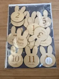 ウサギ型月齢フォトマーカー 12枚セット　月齢フォト