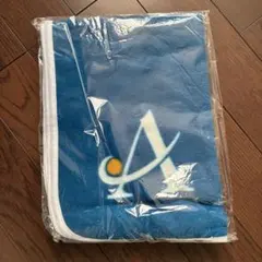 Item thumbnail for item c4191035-0b13-491d-8916-b4846cccb5ca