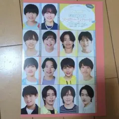 アイドルタレントカード 16枚セット