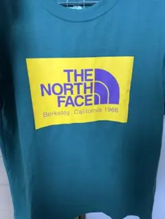 THE NORTH FACE Tシャツ グリーン