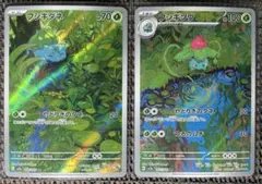 ポケモンカード151　フシギソウAR　フシギダネAR　進化ライン　sv2a