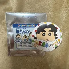 福岡ソフトバンクホークス クレヨンしんちゃん 缶バッジ 川瀬晃