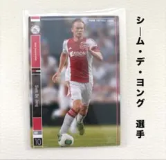 アヤックス・アムステルダム シーム・デ・ヨング パニーニフットボールリーグ