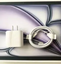 Apple純正充電器セット　20Wアダプタ　タイプC