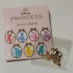 ディズニープリンセス シークレットチャーム ラプンツェル