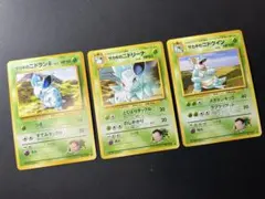 サカキのニドクイン 進化セット サカキのニドラン♀ サカキの
