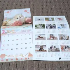 Item thumbnail for item ae28b56c-047d-47d0-a0e2-a04162259f7e