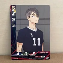 ハイキュー バボカ 宮治