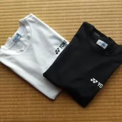 Item thumbnail for item bfb651fe-2e41-40c4-9169-682301078f84