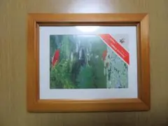KOKUYO Campus land 木製フォトフレームのサムネイル