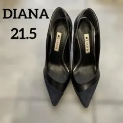 DIANA、ネイビーヌバックパイソン、シルバーカットワークハイヒール、21.5
