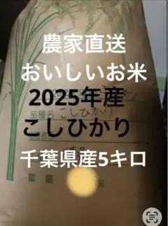 無洗米5キロ令和7年度千葉県産 こしひかり 高品質混ざりなしのサムネイル