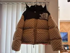THE NORTH FACE x GUCCI ダウンジャケット　XLサイズ
