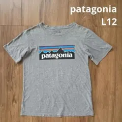 【patagonia】 半袖 Tシャツ トップス グレーのサムネイル