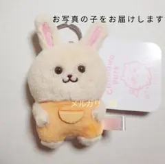 うさぎ ミニマスコットキーリング ちいかわパーク
