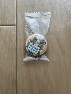 平成狸合戦ぽんぽこ 缶バッジ