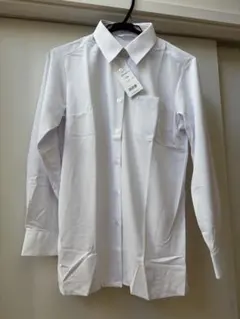 Item thumbnail for item 34b28072-4f56-419b-9644-0526b5babbfe