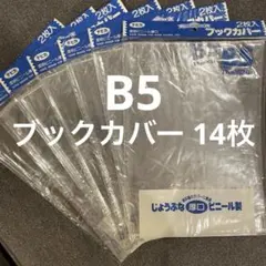 Item thumbnail for item 314f3d54-bd07-477b-9587-551a56b90ea6