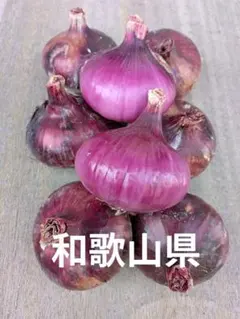 タイ生シャロットホムデンお料理用お得1kg＋にんにく1個オマケ - メルカリ