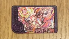 ウガツホムラ　フレンダ