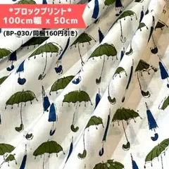 【BP030】インド更紗/ブロックプリント/商用可(同梱160円オフ)