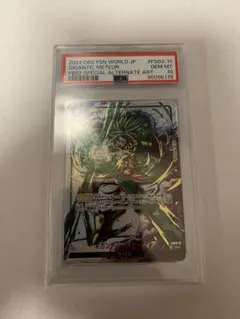 2024 DBS FSN WORLD ギガンティックミーティア墨絵　PSA10