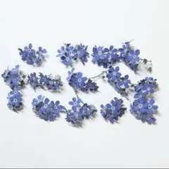 REINA♪/無言⭕様 リクエスト 2点 まとめ商品