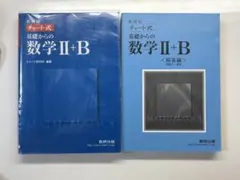 チャート式 基礎からの数学 II+B 解答書付き