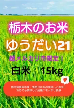 超メルカリ市限定！ゆうだい21♡栃木のお米15kg 2026年最新】ゆうだい21の人気アイテム - メルカリ